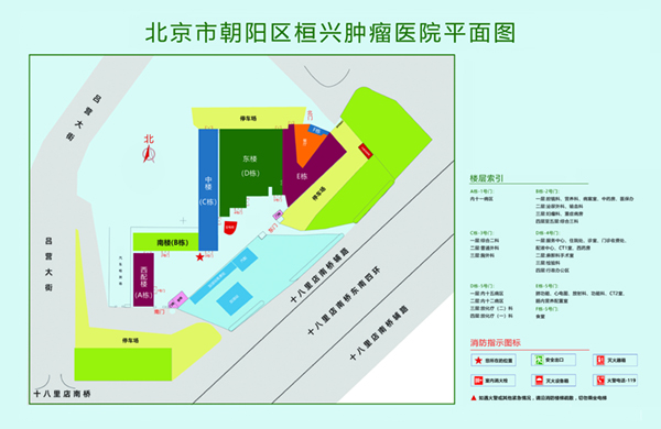 小骚逼被大鸡巴疯狂操视频北京市朝阳区桓兴肿瘤医院平面图